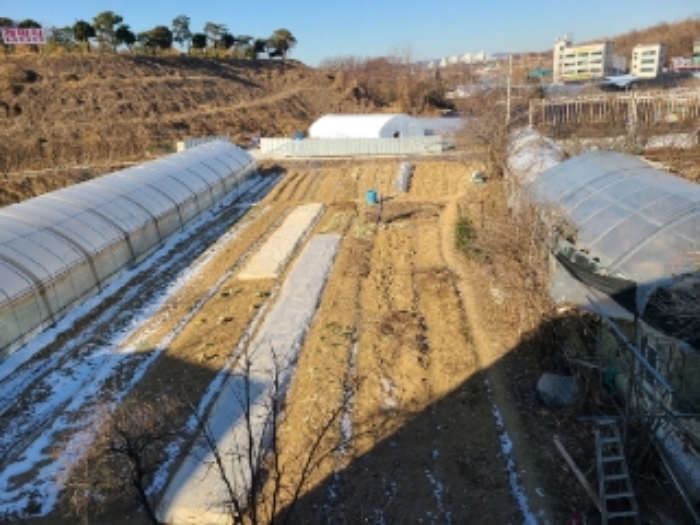 경기도 하남시 초이동 89 외 1필지 답 경매 사진 10