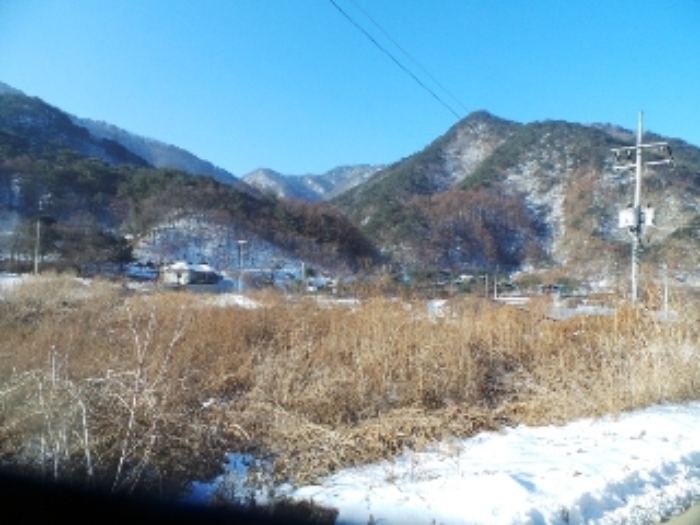 강원특별자치도 양구군 양구읍 공수리 392-1 외 1필지 다가구주택 경매 사진 20