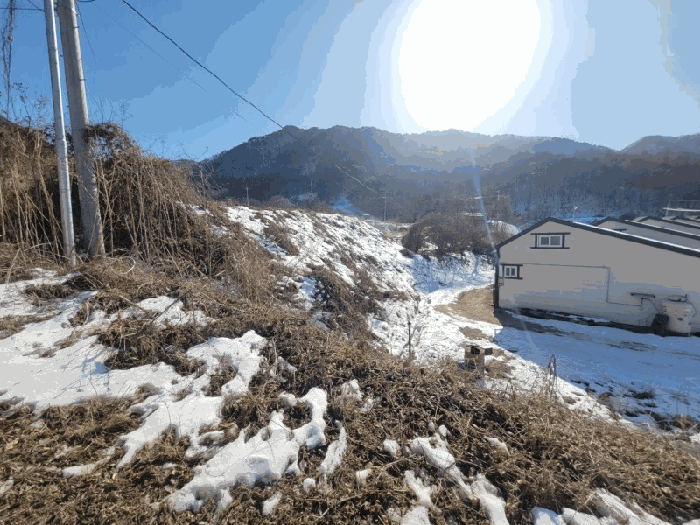 강원특별자치도 양구군 양구읍 공수리 392-1 외 1필지 다가구주택 경매 사진 41