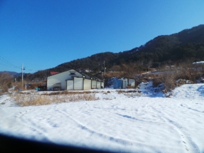 강원특별자치도 양구군 양구읍 공수리 392-1 외 1필지 다가구주택 경매 사진 10