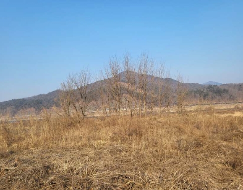 충청북도 충주시 앙성면 조천리 285-7 전 경매 사진 3