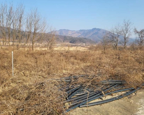충청북도 충주시 앙성면 조천리 285-7 전 경매 사진 4