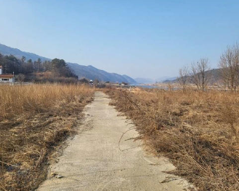 충청북도 충주시 앙성면 조천리 285-7 전 경매 사진 5