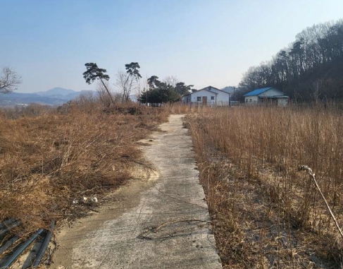 충청북도 충주시 앙성면 조천리 285-7 전 경매 사진 6