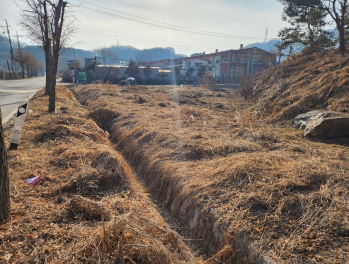 충청북도 충주시 노은면 신효리 613-3 외 1필지 답 경매 사진 2