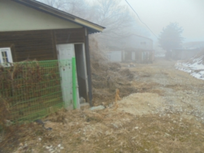 충북 음성군 삼성면 용대리 467 외 1필지 공장 경매 사진 1