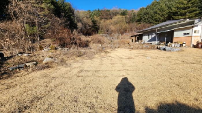 충청북도 제천시 봉양읍 연박리 293-3 외 3필지 단독주택 경매 사진 15