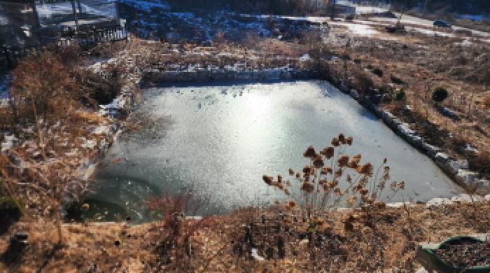 충청북도 제천시 봉양읍 연박리 293-3 외 3필지 단독주택 경매 사진 4