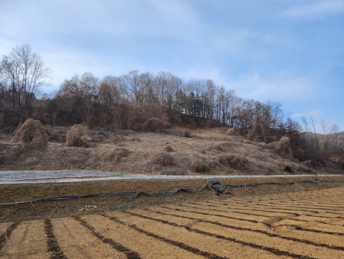 충청북도 제천시 수산면 고명리 83-1 임야 경매 사진 14