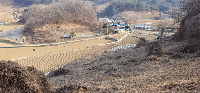 충청북도 제천시 수산면 고명리 83-1 임야 경매 사진 15