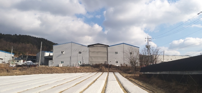 충남 금산군 금성면 하류리 209 외 1필지 근린생활시설 경매 사진 45
