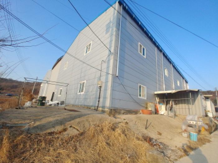 충남 금산군 금성면 하류리 209 외 1필지 근린생활시설 경매 사진 7