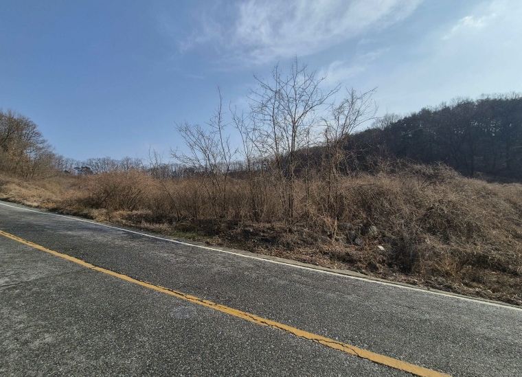 경상북도 칠곡군 기산면 영리 1003 외 3필지 전 경매 사진 1