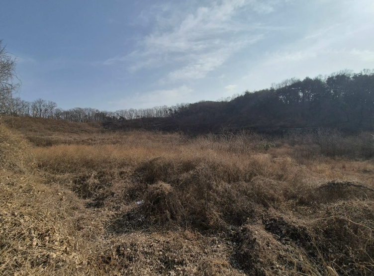 경상북도 칠곡군 기산면 영리 1003 외 3필지 전 경매 사진 2