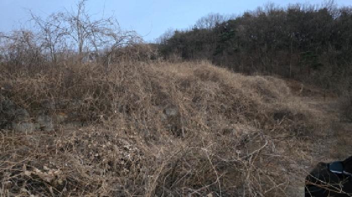 경상북도 칠곡군 기산면 영리 1003 외 3필지 전 경매 사진 12