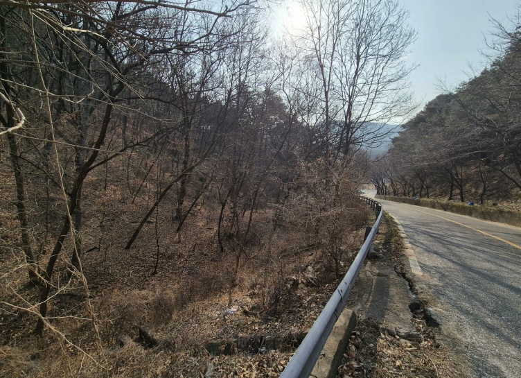 경상북도 칠곡군 기산면 영리 1003 외 3필지 전 경매 사진 3