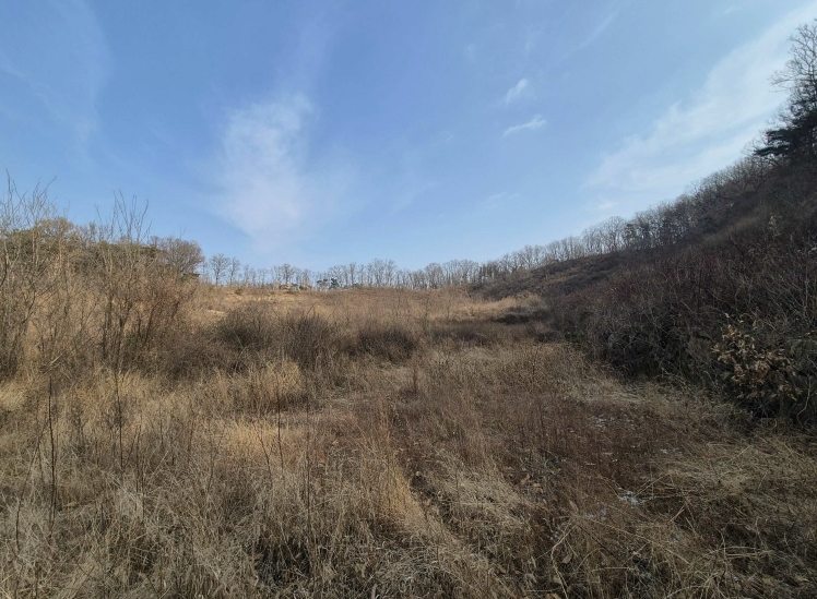 경상북도 칠곡군 기산면 영리 1003 외 3필지 전 경매 사진 4