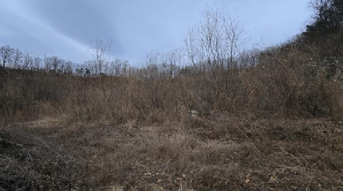 경상북도 칠곡군 기산면 영리 1003 외 3필지 전 경매 사진 7
