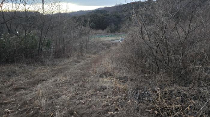 경상북도 칠곡군 기산면 영리 1003 외 3필지 전 경매 사진 9