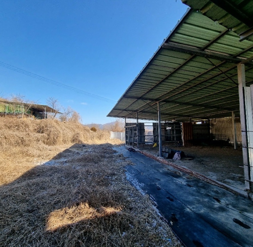 경상북도 김천시 대항면 덕전리 782 외 1필지 단독주택 경매 사진 3