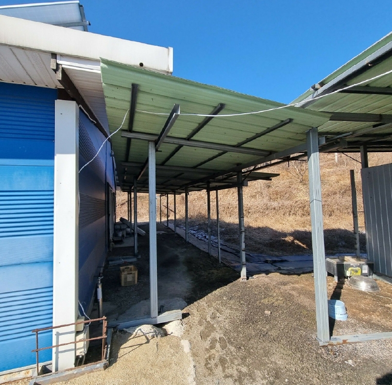 경상북도 김천시 대항면 덕전리 782 외 1필지 단독주택 경매 사진 5