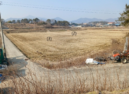 전라남도 함평군 해보면 문장리 868-6 답 경매 사진 2