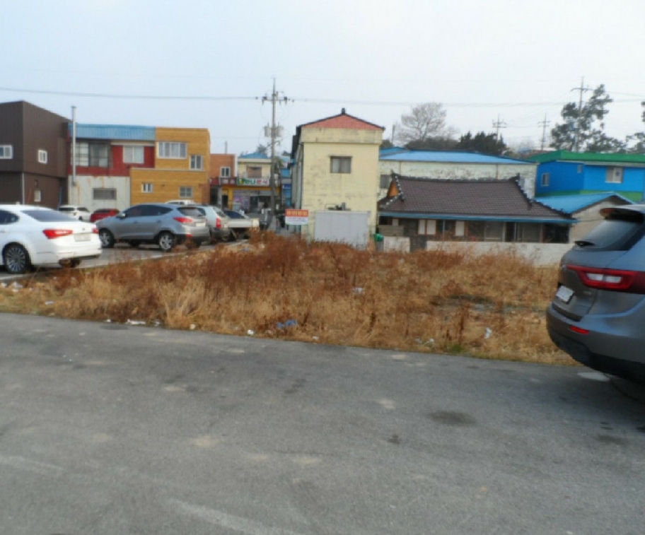 전라남도 무안군 해제면 양매리 913-6 외 1필지 대지 경매 사진 2