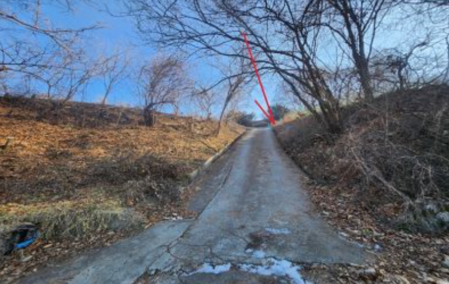 충청남도 금산군 남일면 황풍리 331-6 전 경매 사진 17