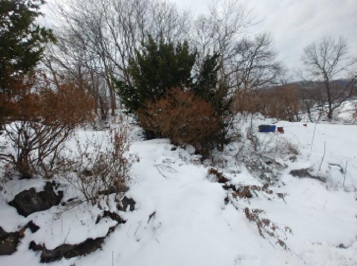 충청남도 금산군 남일면 황풍리 331-6 전 경매 사진 24