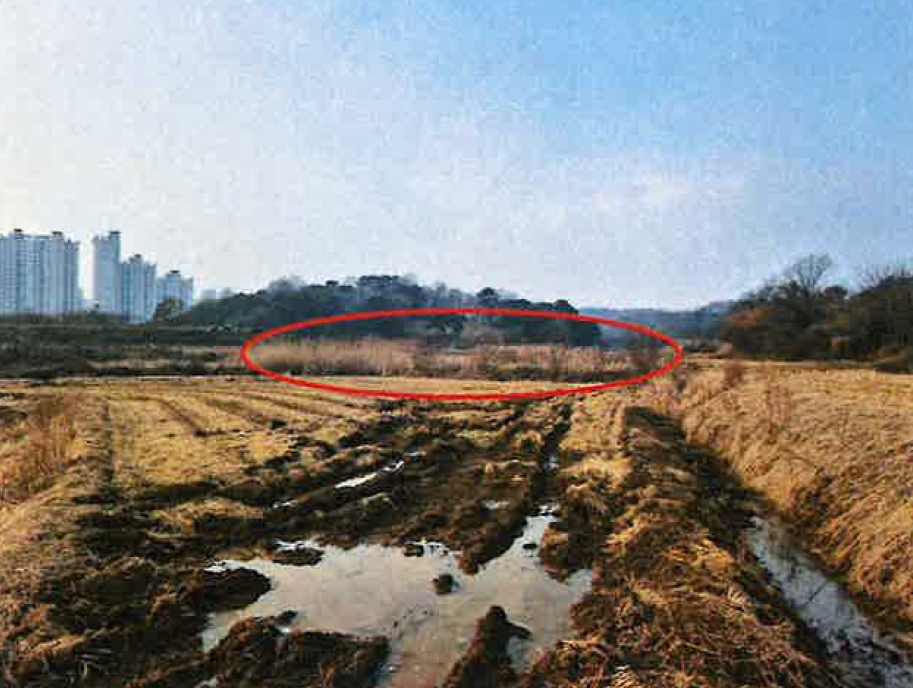 충청남도 당진시 송악읍 중흥리 191-5 전답 경매 사진 2