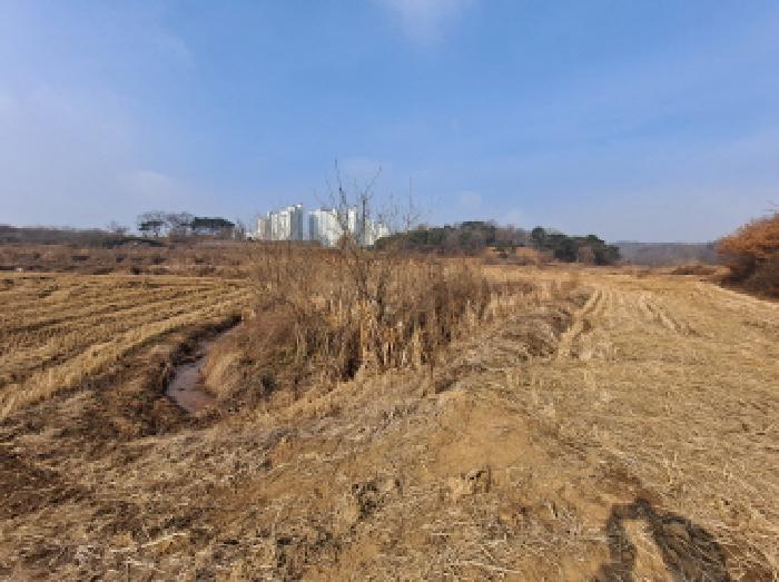 충청남도 당진시 송악읍 중흥리 191-5 전답 경매 사진 4