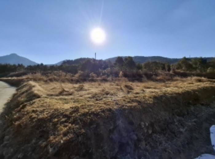 경상남도 남해군 남해읍 입현리 1026 답 경매 사진 11