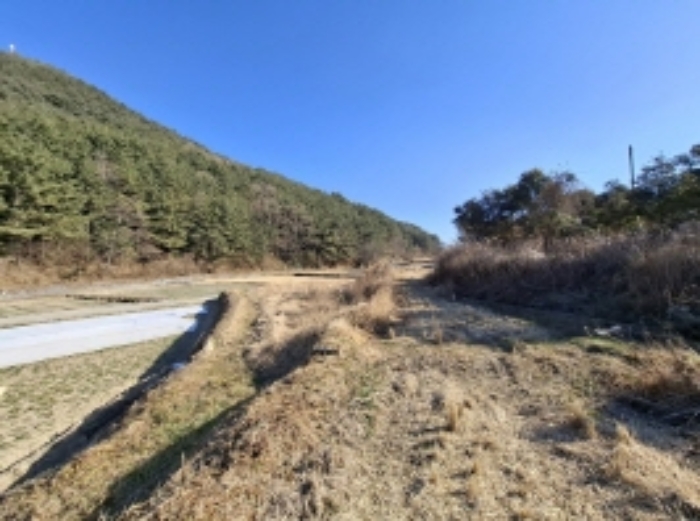 경상남도 남해군 남해읍 입현리 1026 답 경매 사진 12