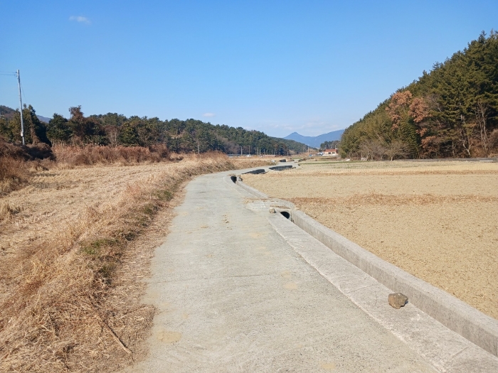 경상남도 남해군 남해읍 입현리 1026 답 경매 사진 15