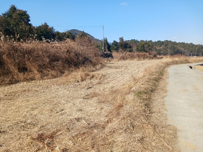 경상남도 남해군 남해읍 입현리 1026 답 경매 사진 17