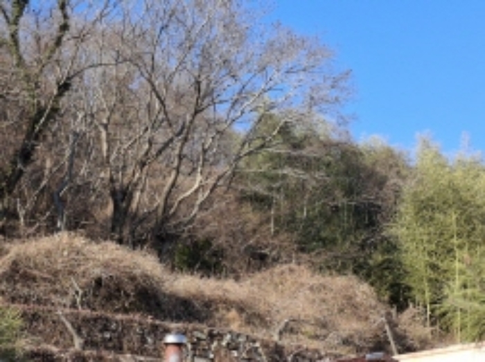 경상남도 남해군 상주면 양아리 614 전 경매 사진 3