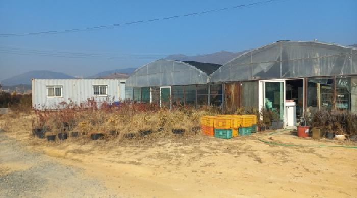 경상남도 거제시 거제면 오수리 659-1 외 5필지 상가주택 경매 사진 19