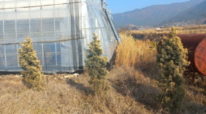 경상남도 거제시 거제면 오수리 659-1 외 5필지 상가주택 경매 사진 20
