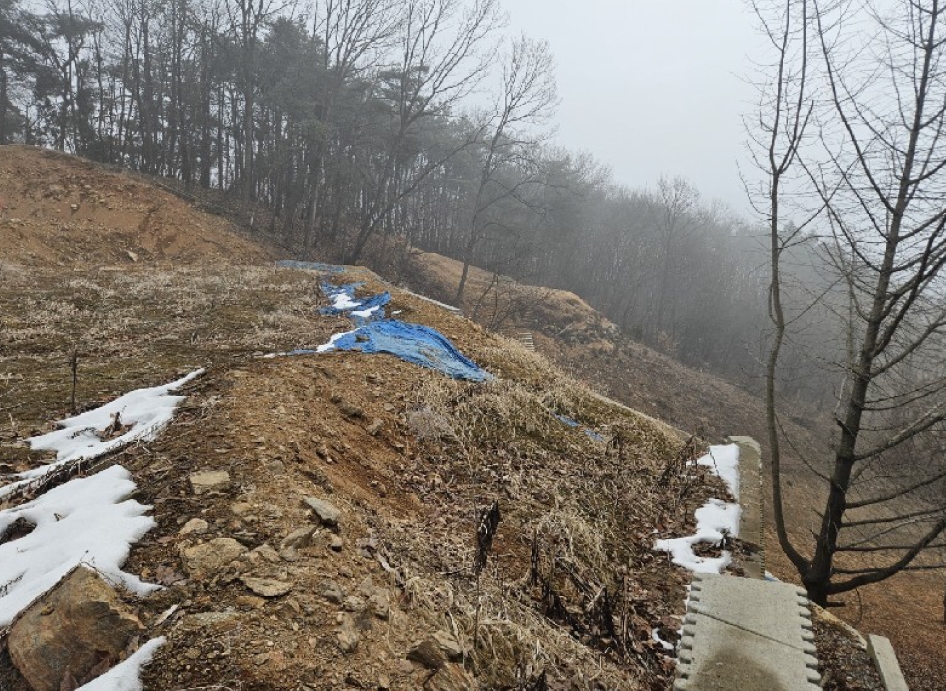 경기도 용인시 처인구 양지면 추계리 272-11 외 2필지 도로 경매 사진 4
