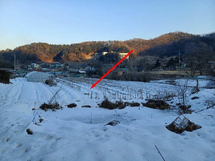 경기도 광주시 곤지암읍 봉현리 102-1 외 1필지 답 경매 사진 7
