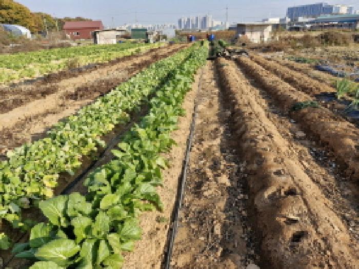 경기도 안산시 단원구 신길동 516-13 전 경매 사진 2