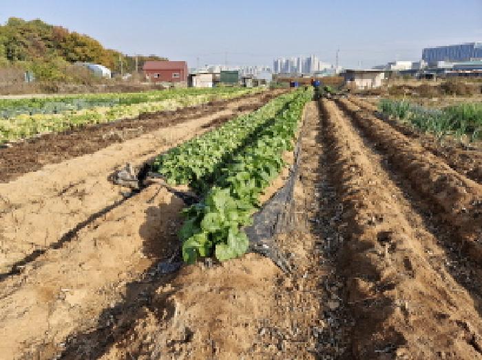 경기도 안산시 단원구 신길동 516-13 전 경매 사진 3