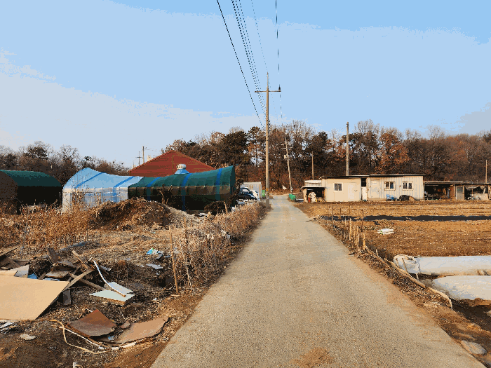 경기도 안산시 단원구 신길동 516-13 전 경매 사진 5