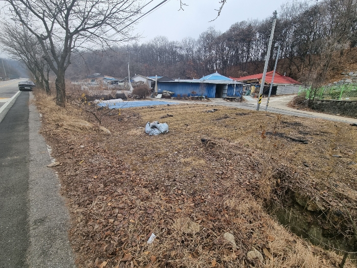 충청북도 충주시 신니면 대화리 172-1 답 경매 사진 6