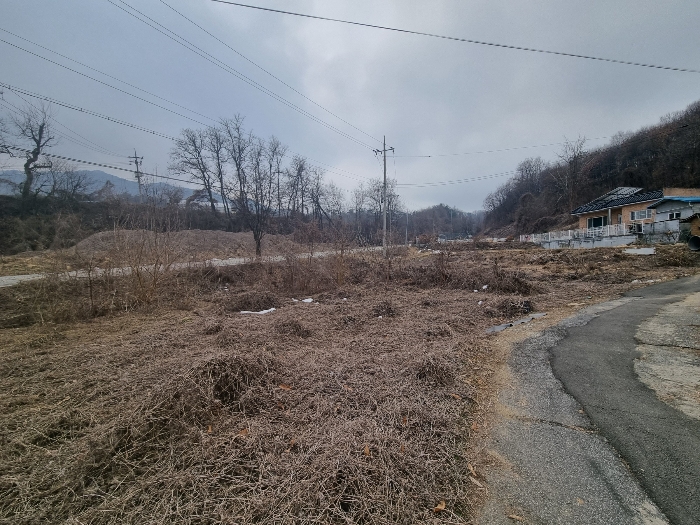 충청북도 충주시 신니면 대화리 172-1 답 경매 사진 8