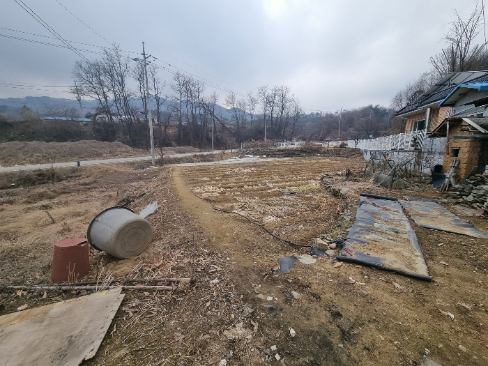 충청북도 충주시 신니면 대화리 172-1 답 경매 사진 9