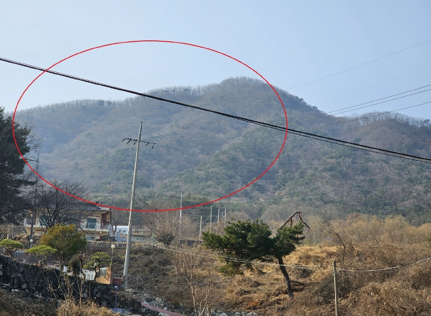 울산광역시 울주군 청량읍 율리 산297-2 임야 경매 사진 3