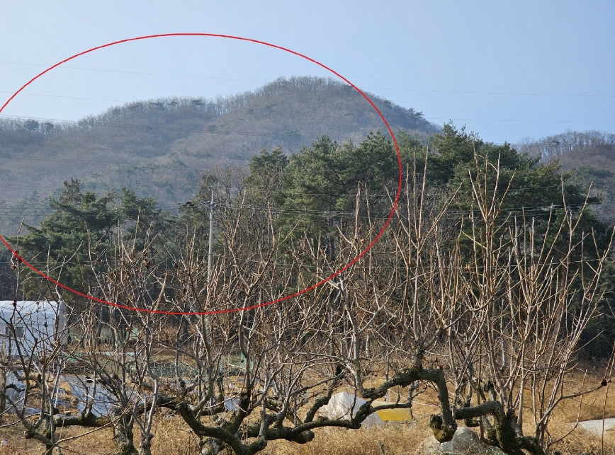 울산광역시 울주군 청량읍 율리 산297-2 임야 경매 사진 4