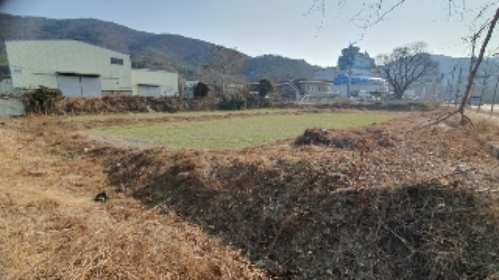 경상남도 창원시 마산합포구 진북면 망곡리 578-4 답 경매 사진 6