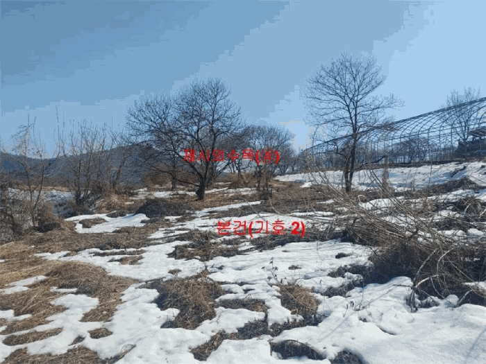 경상남도 함양군 함양읍 난평리 651 외 2필지 전 경매 사진 12